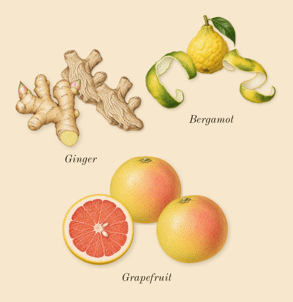 Jean Lowe Immortal, top notes: Grapefruit, Ginger, Bergamot