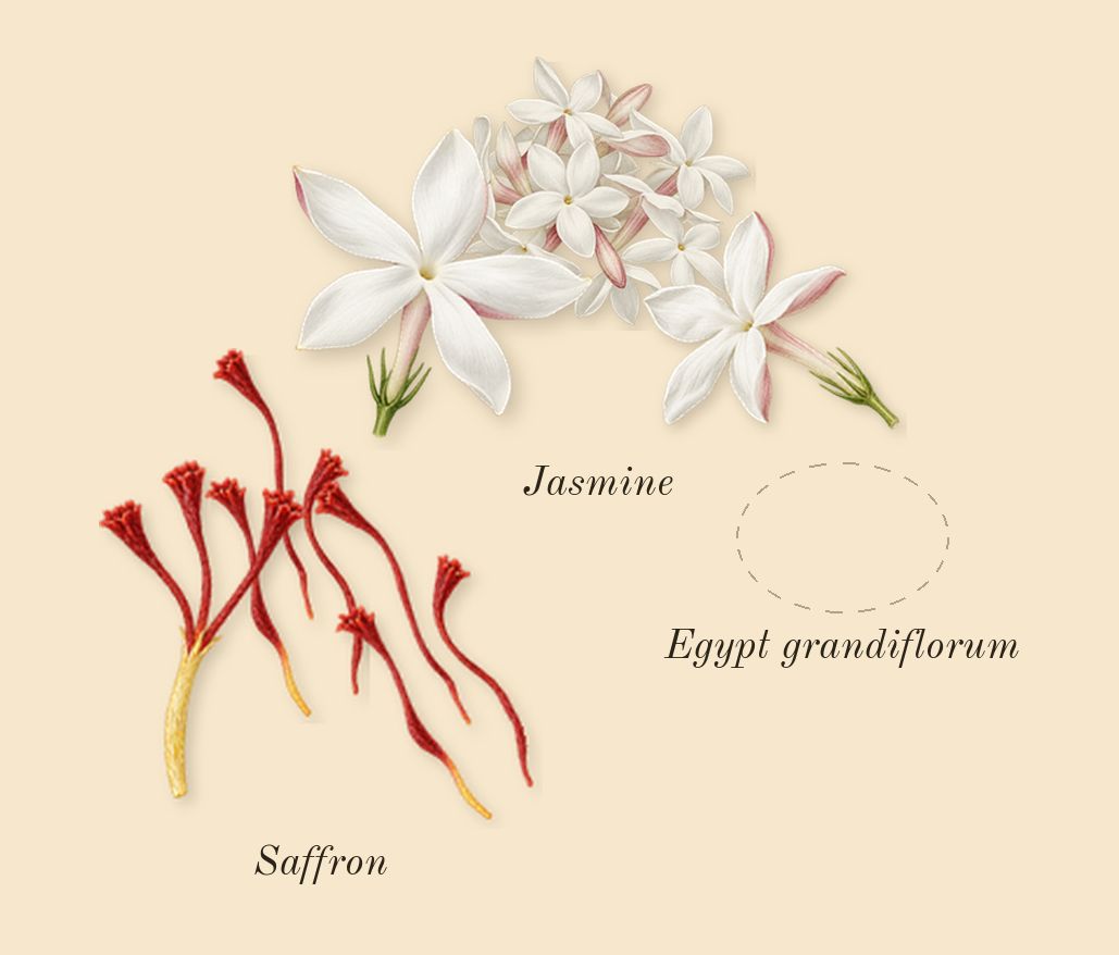 La Rouge Baroque, top notes: Jasmine, Saffron, Mandarin