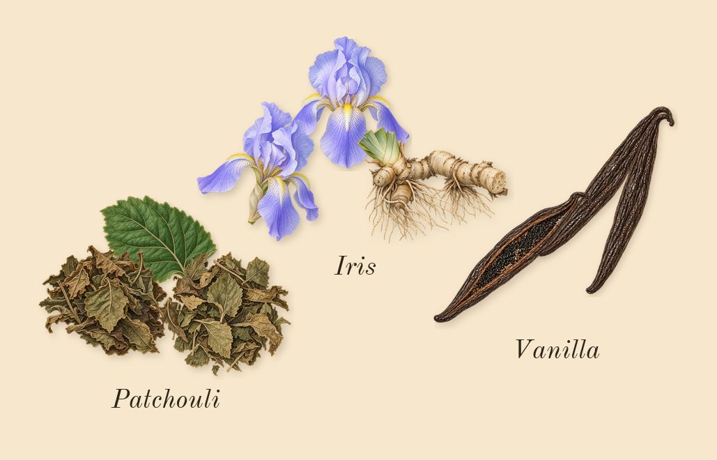 La Vita Bella, dry-down: Iris, Patchouli, Vanilla
