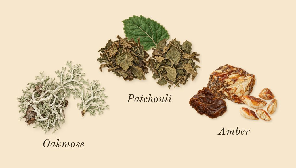 Opulence Leather, dry-down: Oakmoss, Patchouli