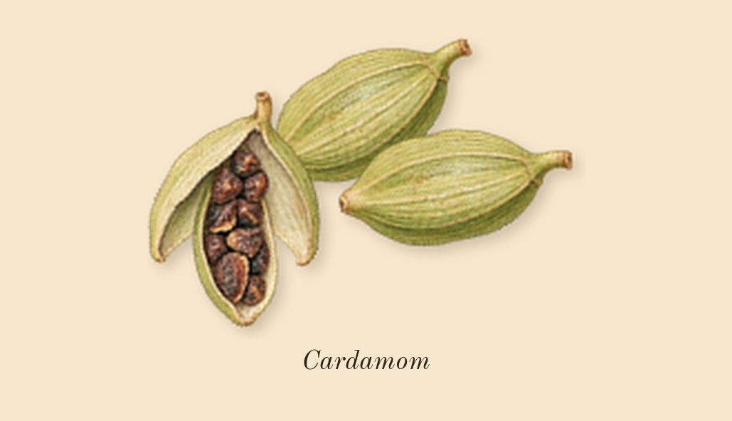 Opulence Leather, top notes: Cardamom