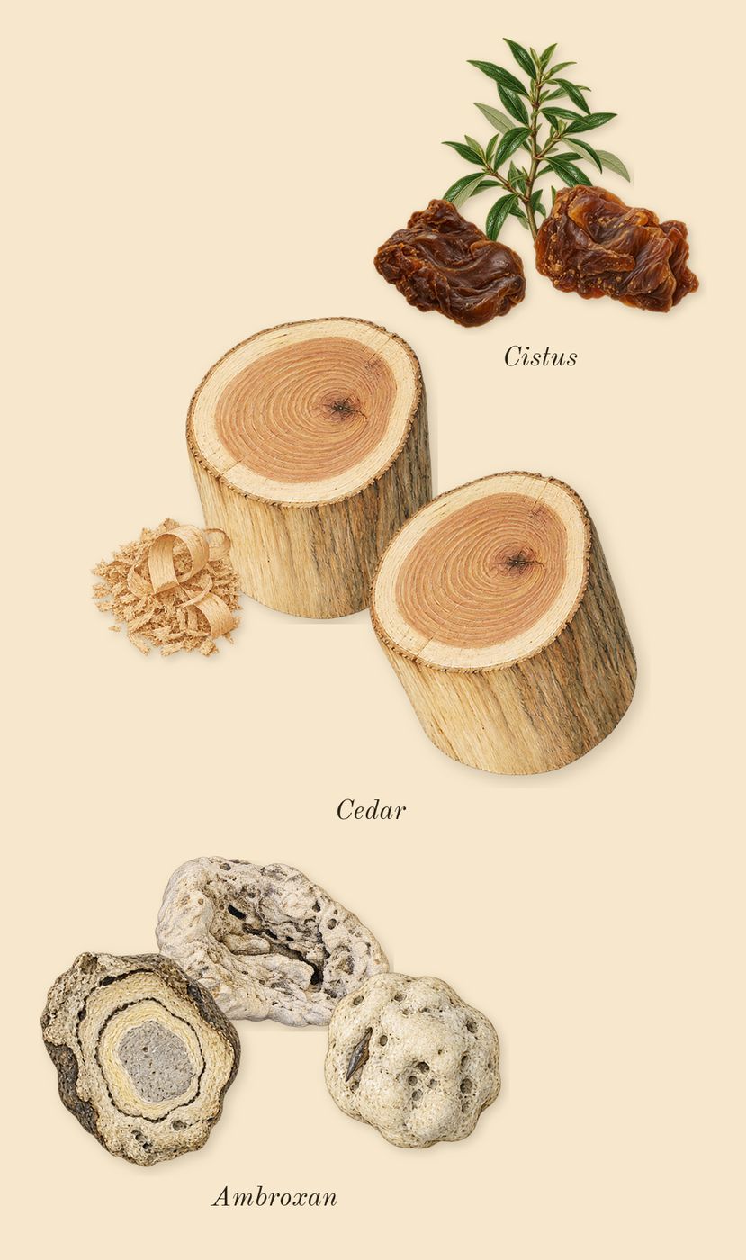 Salvo, dry-down: Ambroxan, Cedar, Cistus, Vanilla