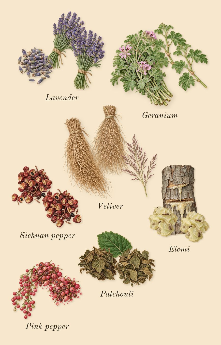 Salvo, heart: Sichuan pepper, Lavender, Pink pepper, Vetiver, Patchouli, Geranium, Elemi, Nutmeg