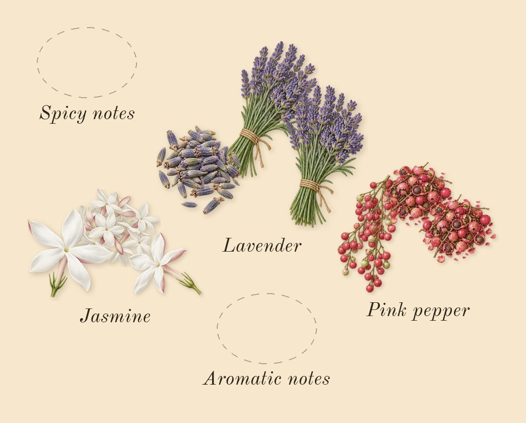Sceptre Malachite, heart: Lavender, Pink pepper, Jasmine