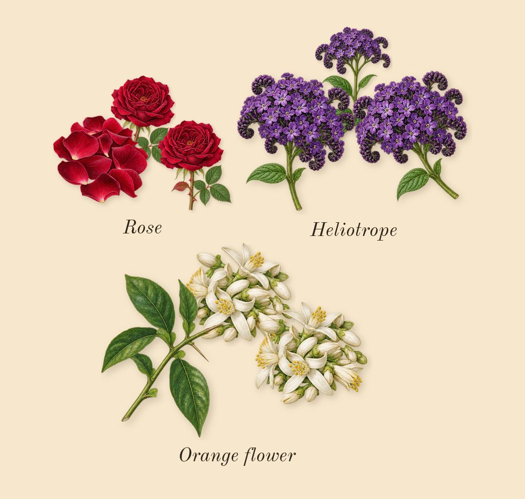 Smoked Oud & Vanilla, heart: Rose, Orange flower, Heliotrope