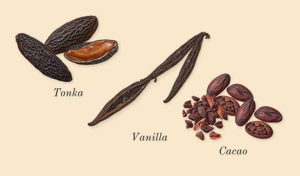 Tobacco Touch, heart: Vanilla, Cacao, Tonka