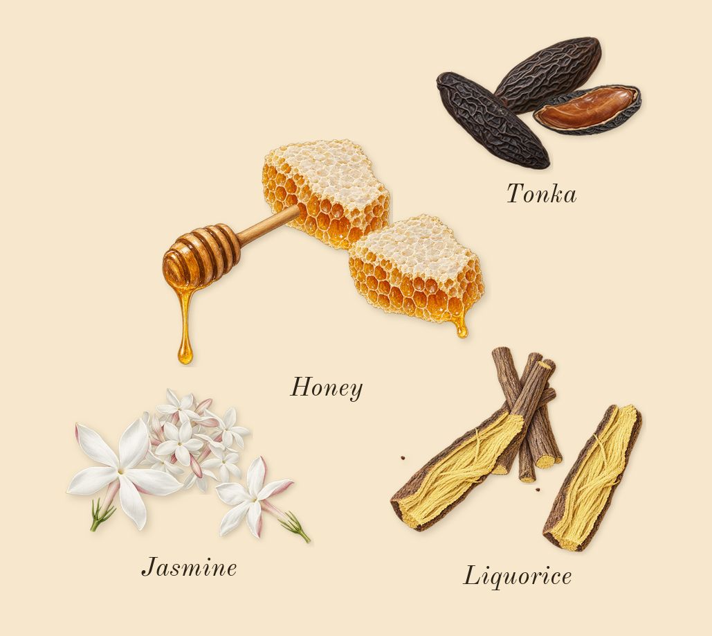 Vanilla Voyage, heart: Jasmine, Tonka, Honey, Liquorice