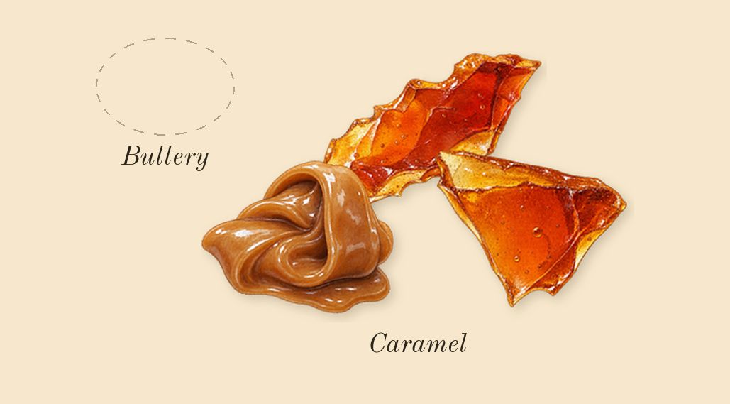 Vanilla Voyage, top notes: Caramel, Buttery
