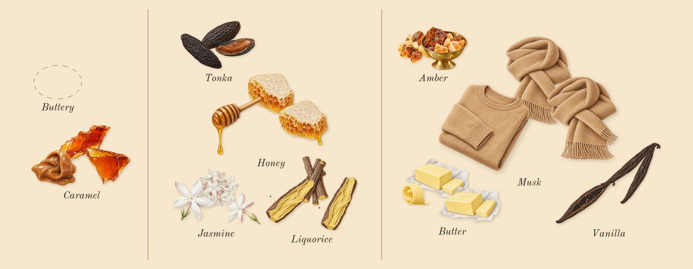 Vanilla Voyage’s scent picture, a draft: caramel, jasmine, tonka, honey, vanilla, musk drawn so far; dashed outlines where nothing is drawn yet