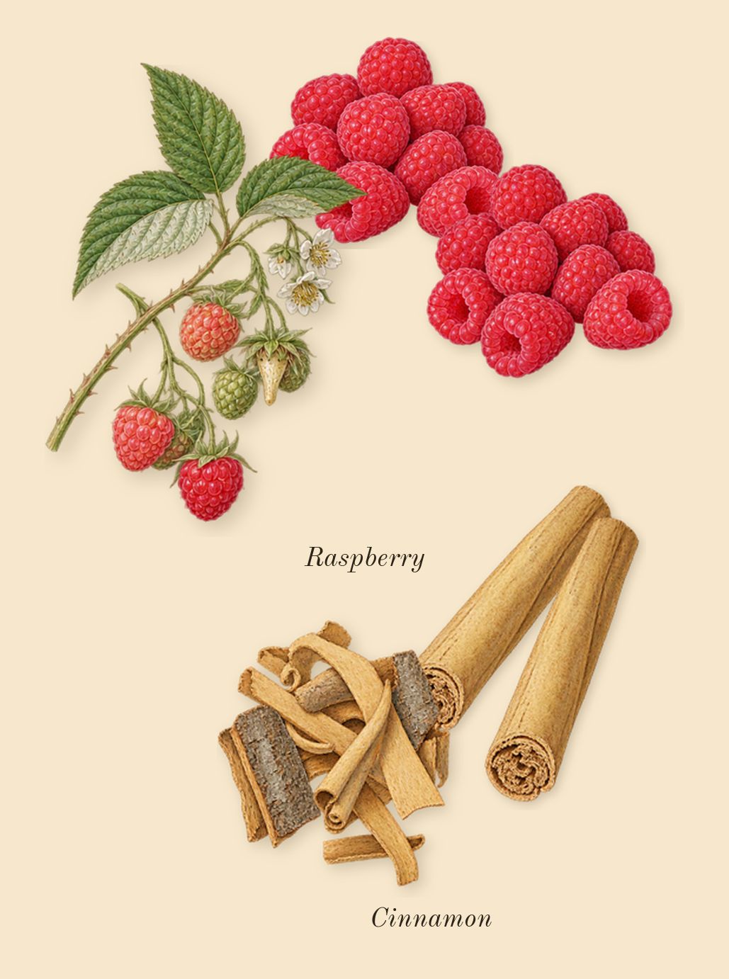 Cuir Infrarouge, heart: Cinnamon, Raspberry