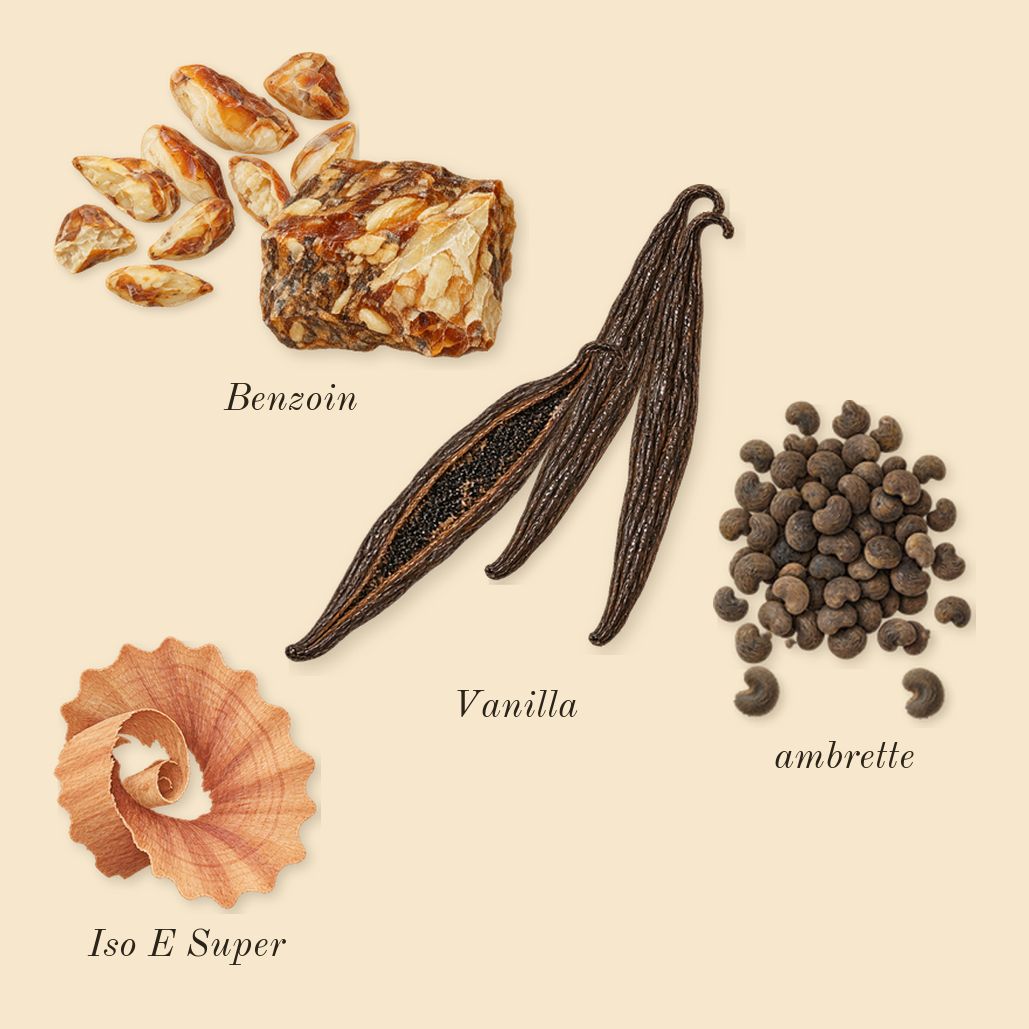 Hibiscus Mahajád, dry-down: Vanilla, ambrette, Benzoin, Iso E Super
