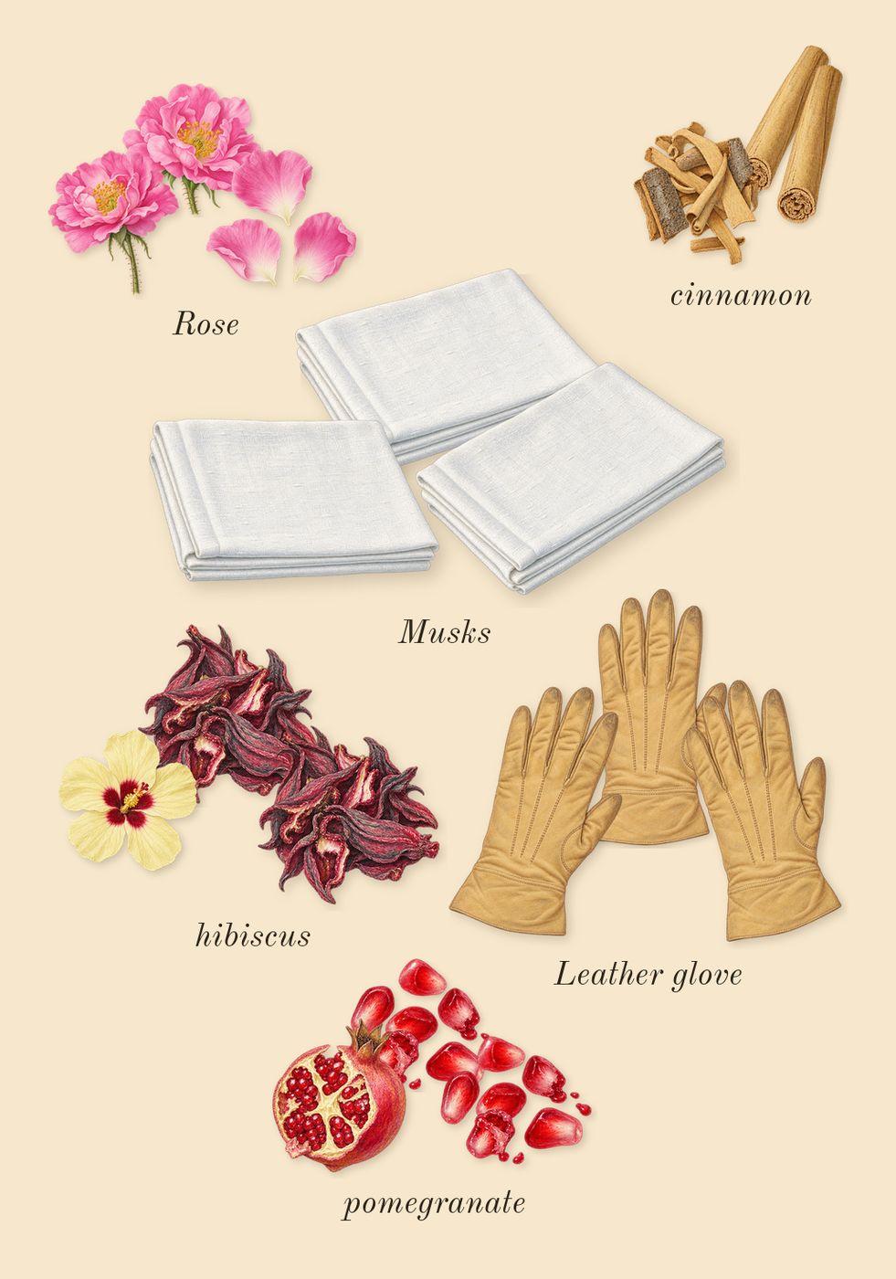 Hibiscus Mahajád, heart: Rose, Leather glove, cinnamon, hibiscus, Musks, pomegranate