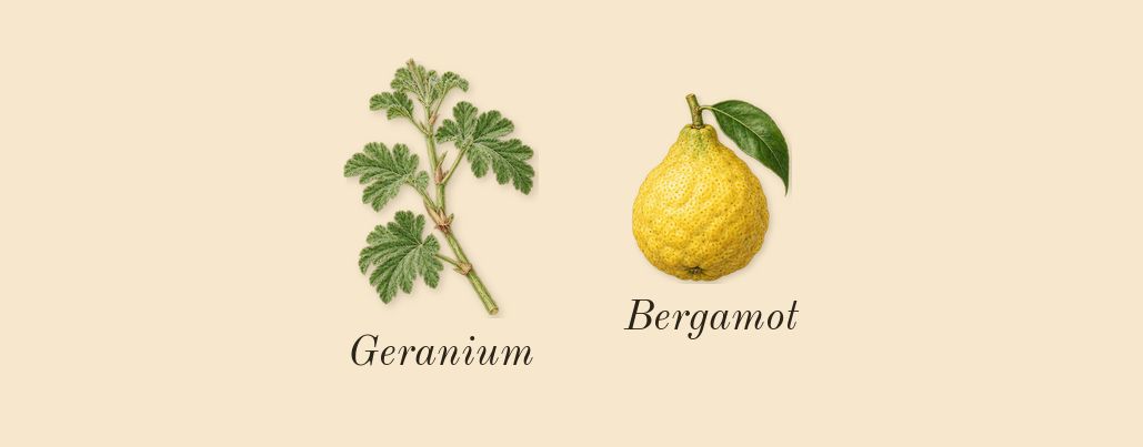 Oud Maracujá, top notes: Bergamot, Geranium