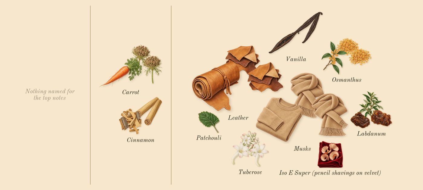 Tubéreuse Astrale’s scent picture, a draft: cinnamon, tuberose, osmanthus, carrot, labdanum, leather drawn so far; dashed outlines where nothing is drawn yet
