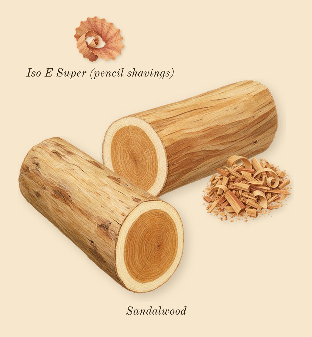 724, dry-down: Sandalwood, Iso E Super (pencil shavings)