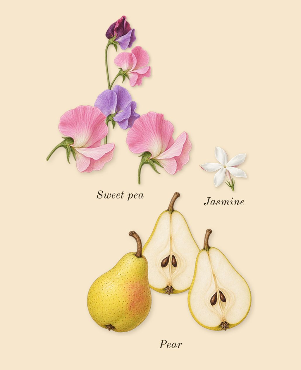 Amyris Femme, heart: Pear, Sweet pea, Jasmine