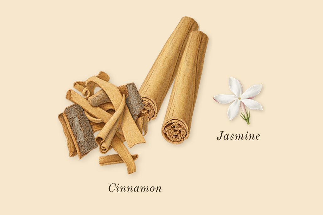 Amyris Homme, heart: Cinnamon, Jasmine
