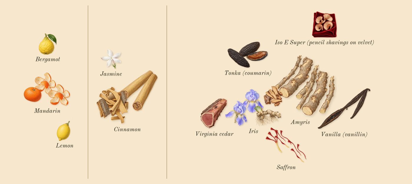 Amyris Homme’s scent picture, a draft: mandarin, saffron, vanilla (vanillin), amyris, cinnamon, tonka (coumarin) drawn so far; dashed outlines where nothing is drawn yet