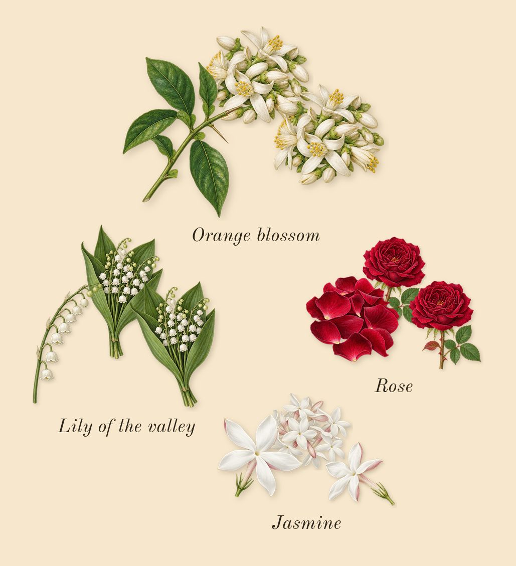 Féminin Pluriel, heart: Jasmine, Rose, Orange blossom, Lily of the valley