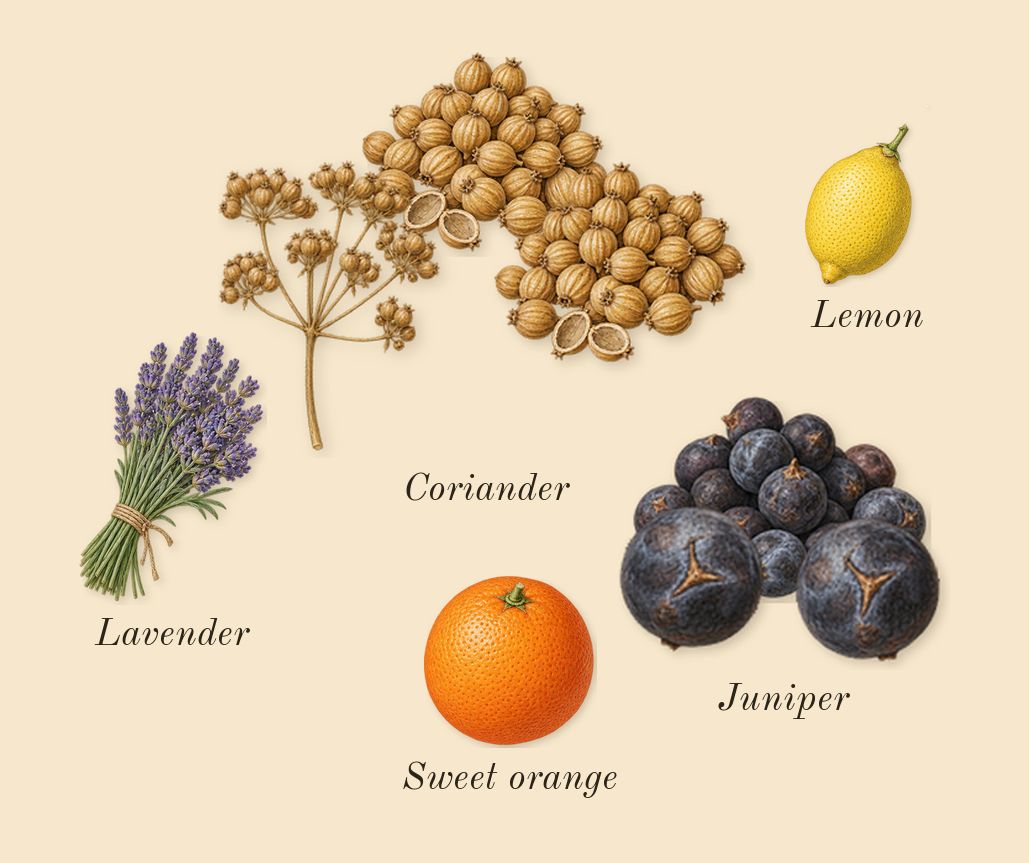 Gentle Fluidity Gold, top notes: Juniper, Coriander, Sweet orange, Lemon, Lavender