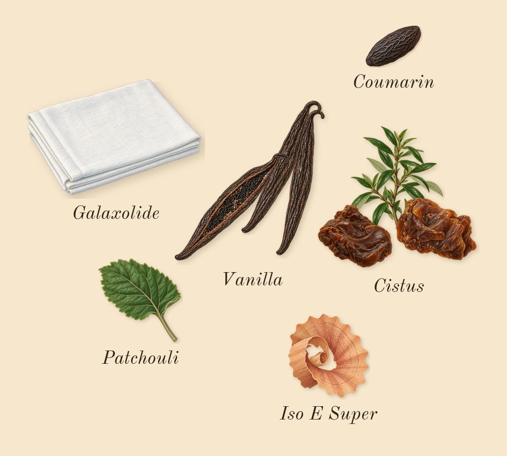 Grand Soir, dry-down: Vanilla, Cistus, Patchouli, Iso E Super, Galaxolide, Coumarin