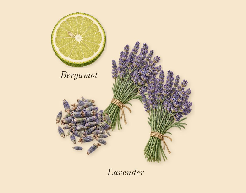 Grand Soir, top notes: Lavender, Bergamot