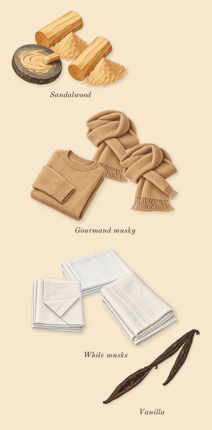 Kurky, dry-down: Gourmand musky, White musks, Vanilla, Sandalwood