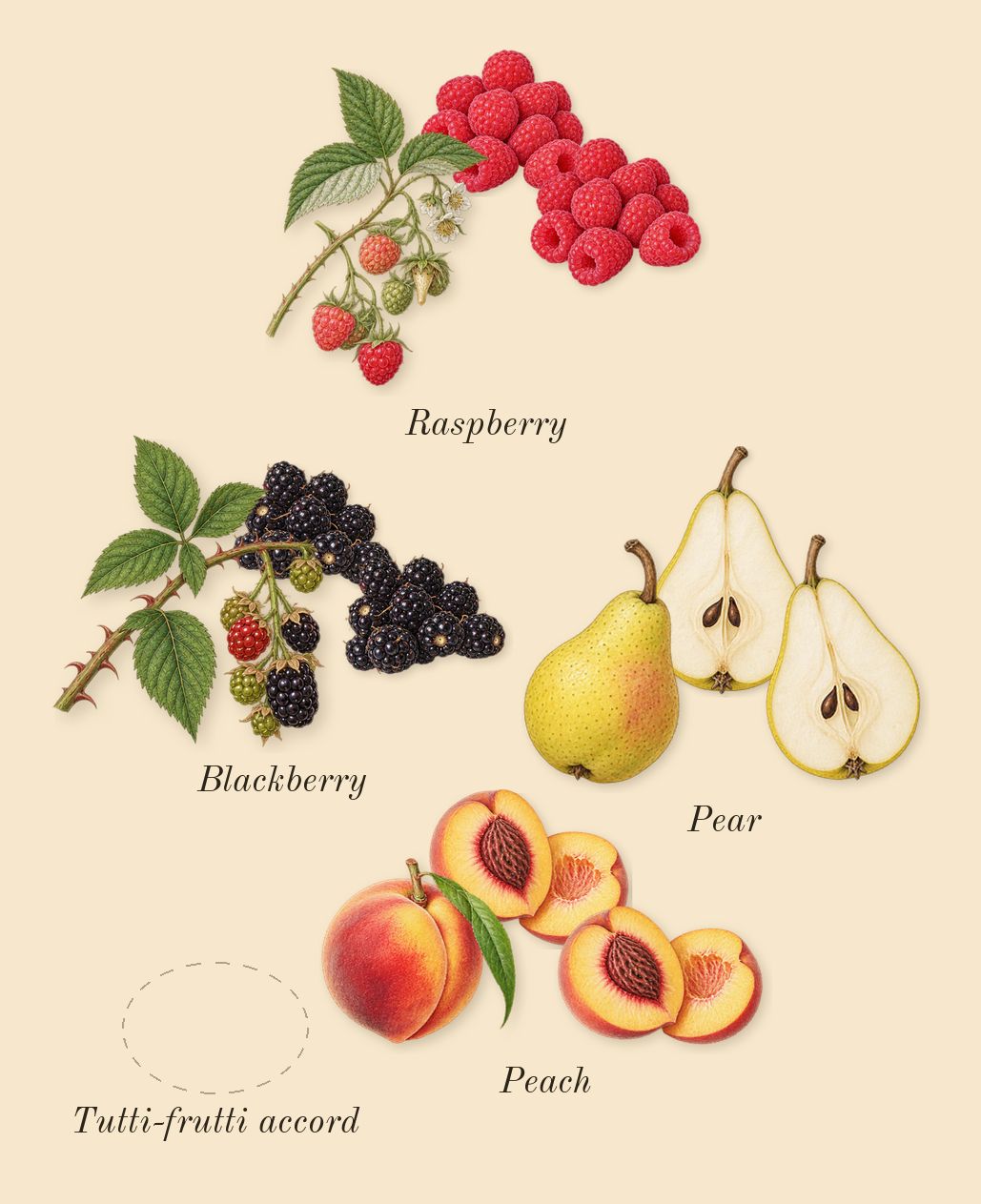 Kurky, heart: Tutti-frutti accord, Pear, Peach, Raspberry, Blackberry