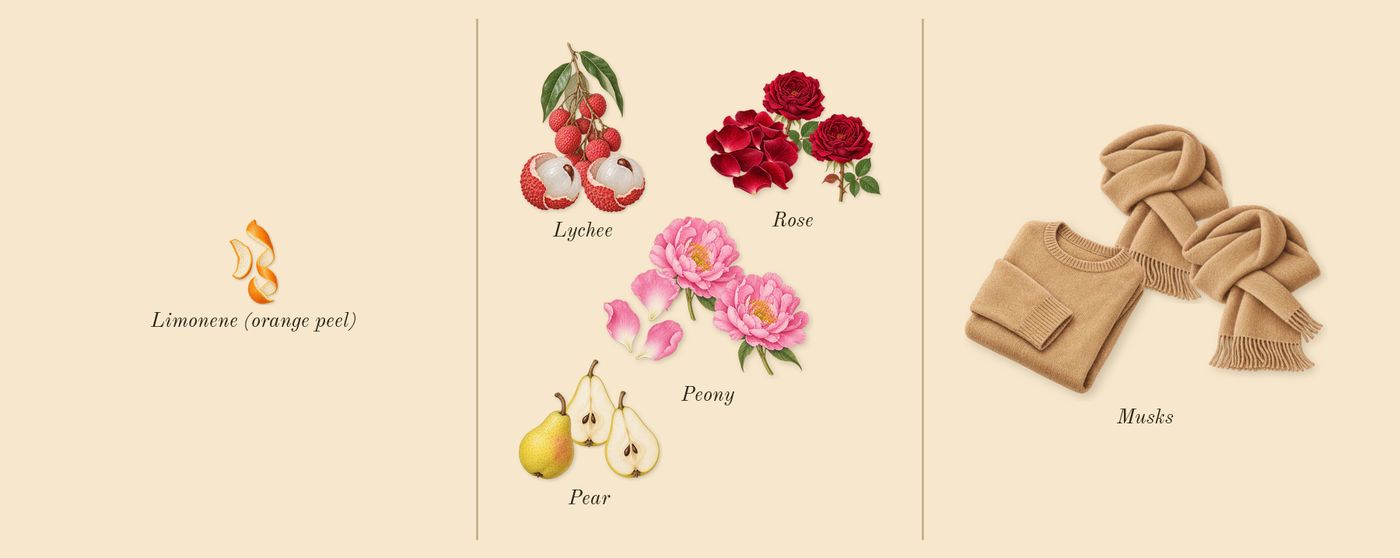L'Eau à la Rose’s scent picture, a draft: musks, peony, rose, lychee, pear, limonene (orange peel) drawn so far; dashed outlines where nothing is drawn yet