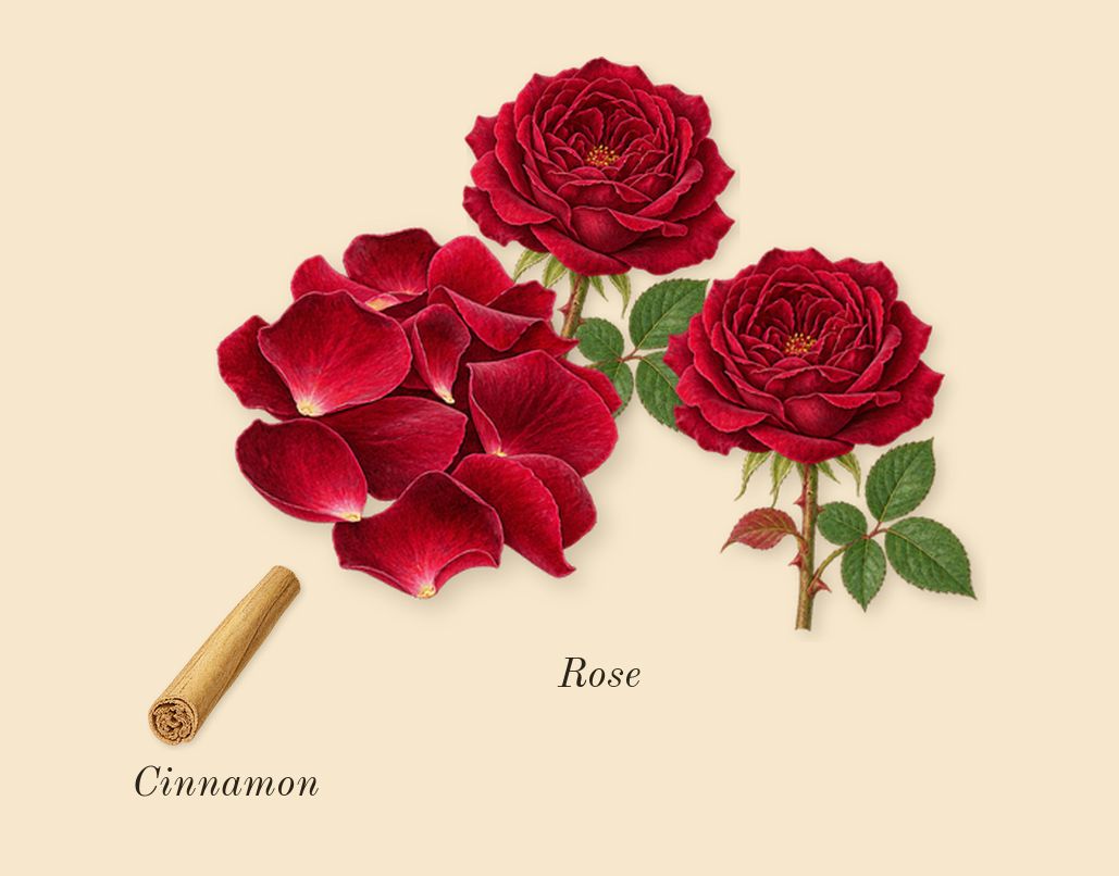Oud Satin Mood, heart: Rose, Cinnamon