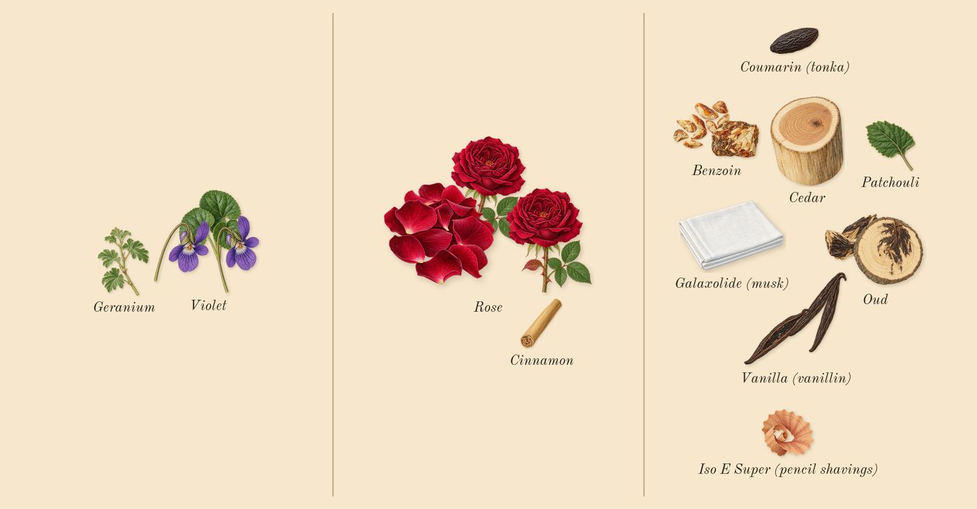 Oud Satin Mood’s scent picture, a draft: violet, oud, rose, vanilla (vanillin), benzoin, patchouli drawn so far; dashed outlines where nothing is drawn yet