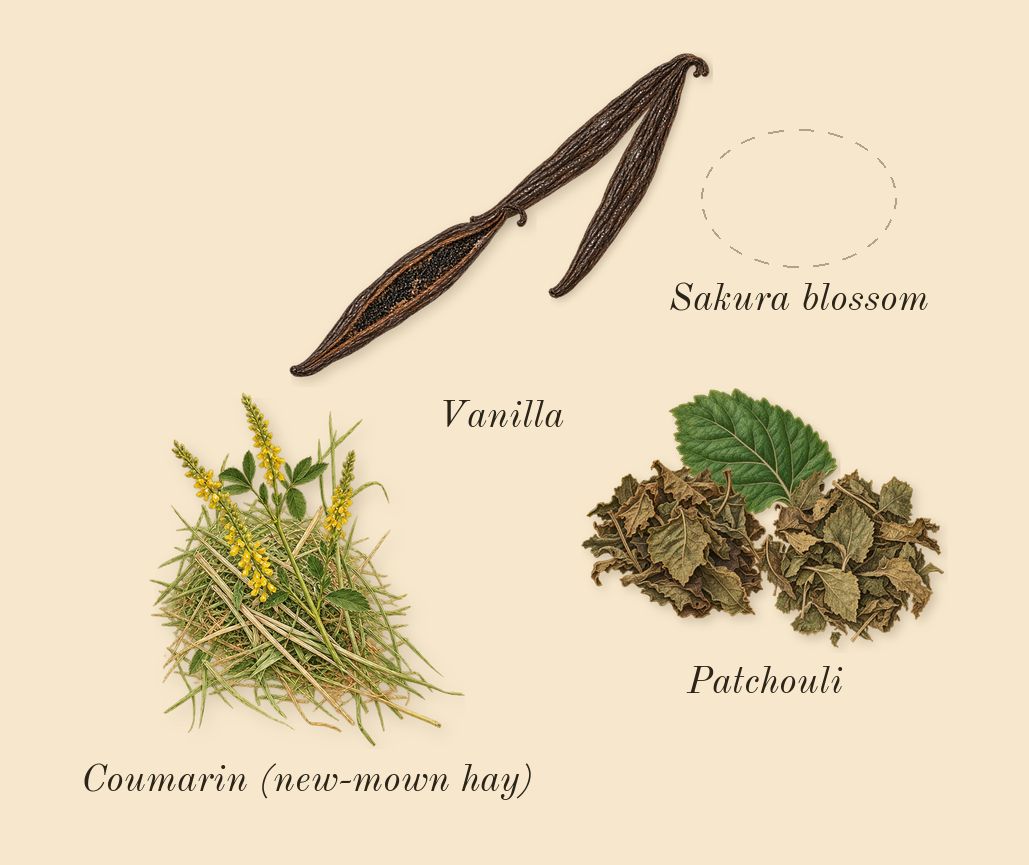 No.14 Icila, dry-down: Patchouli, Vanilla, Sakura blossom, Coumarin (new-mown hay)