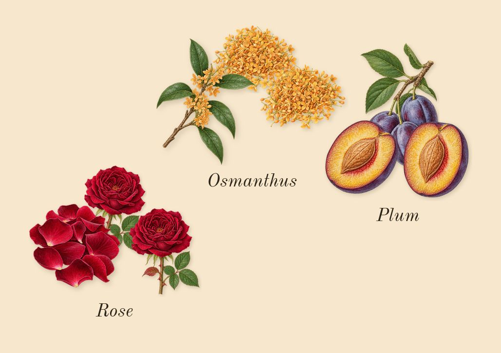 No.14 Icila, heart: Rose, Plum, Osmanthus