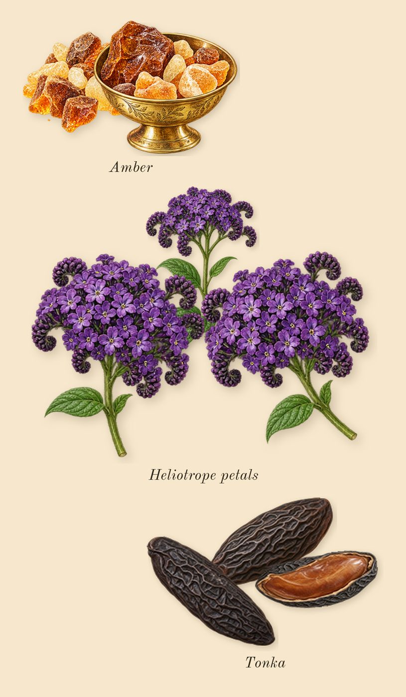 No.15 Vanille Infinie, heart: Heliotrope petals, Tonka, Amber