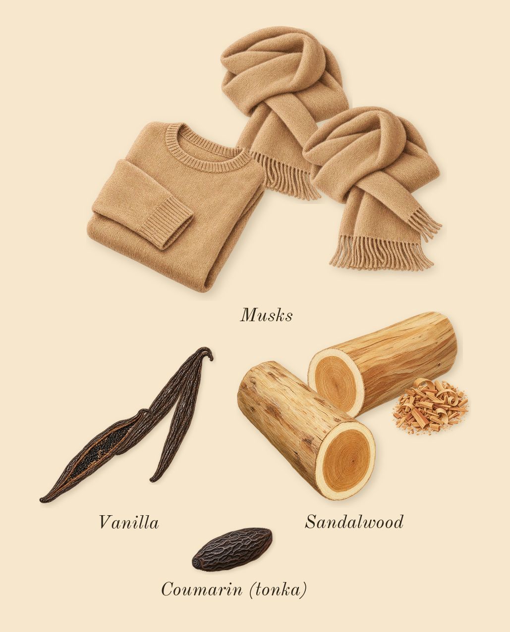 Replica Afternoon Delight, dry-down: Sandalwood, Vanilla, Musks, Coumarin (tonka)