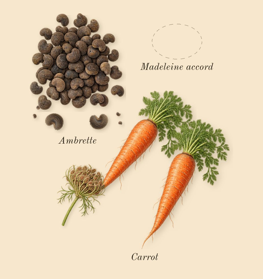 Replica Afternoon Delight, heart: Madeleine accord, Carrot, Ambrette