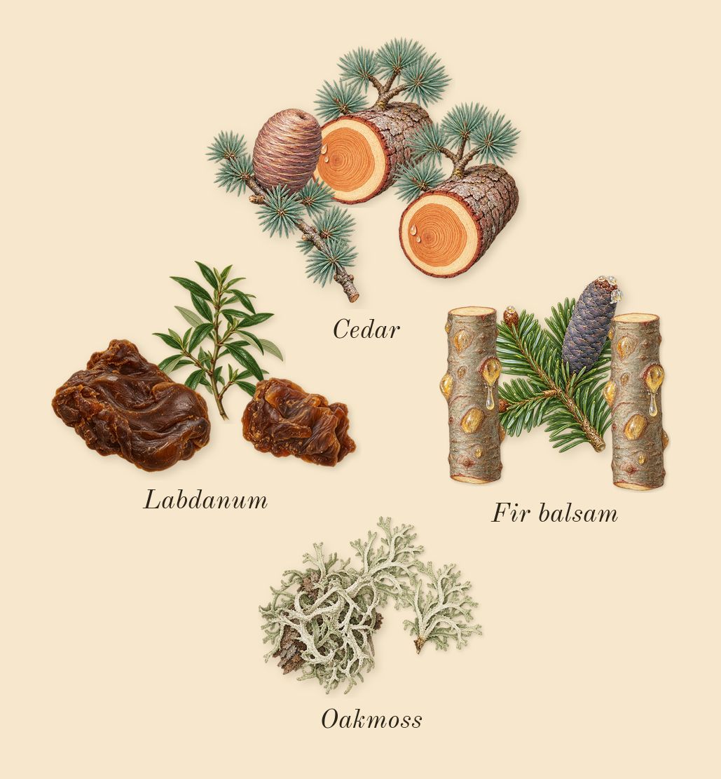 Replica Autumn Vibes, dry-down: Cedar, Oakmoss, Fir balsam, Labdanum
