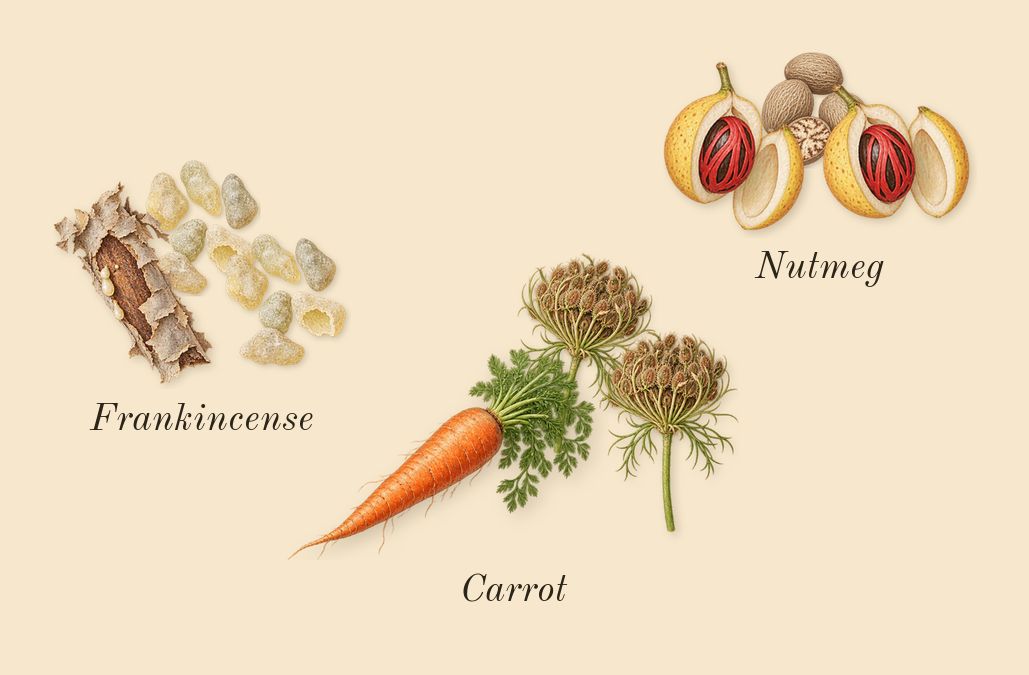 Replica Autumn Vibes, heart: Carrot, Nutmeg, Frankincense