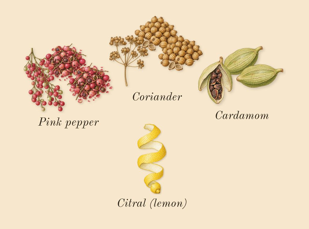 Replica Autumn Vibes, top notes: Pink pepper, Coriander, Cardamom, Citral (lemon)