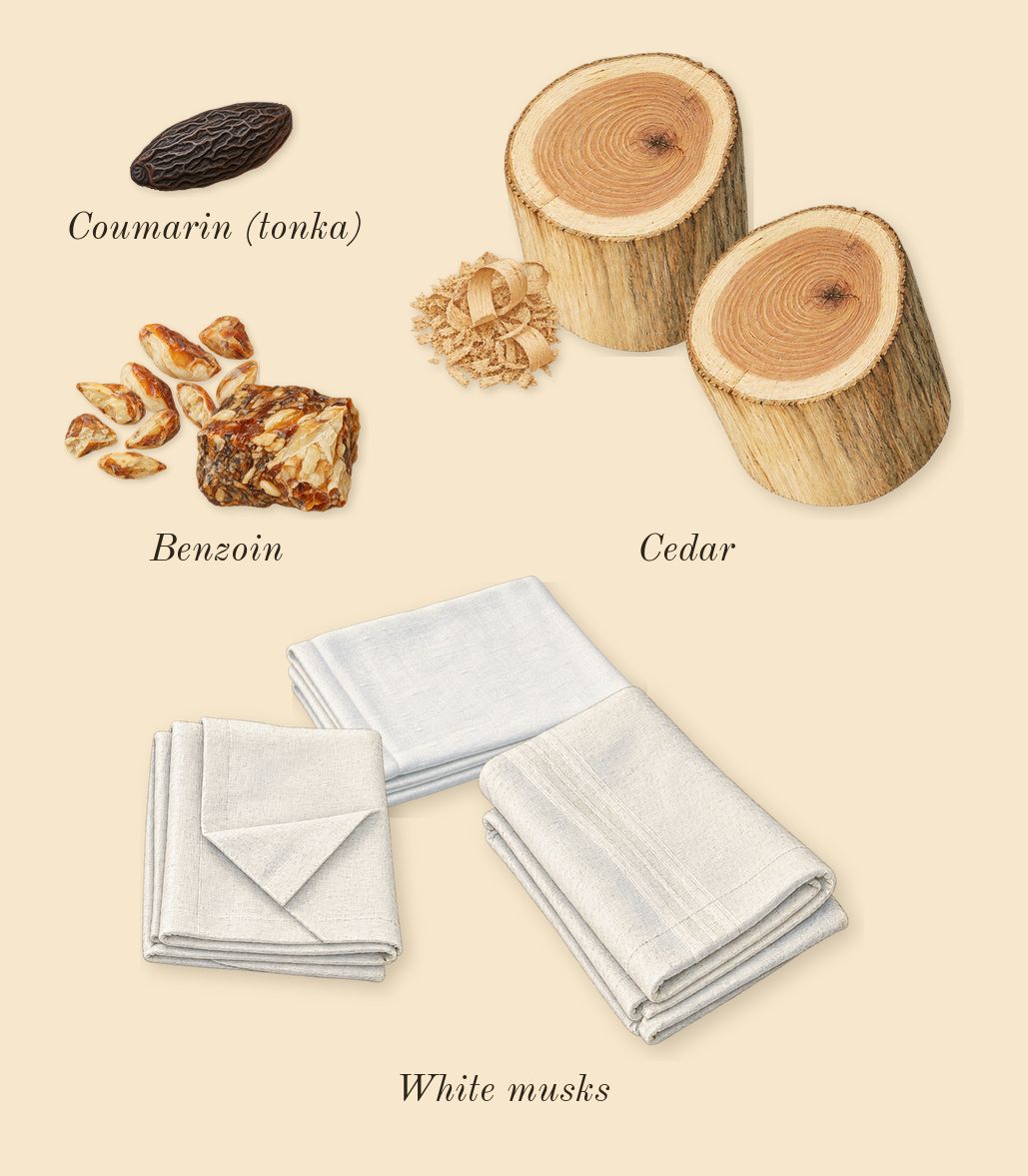 Replica Beach Walk, dry-down: Cedar, White musks, Benzoin, Coumarin (tonka)