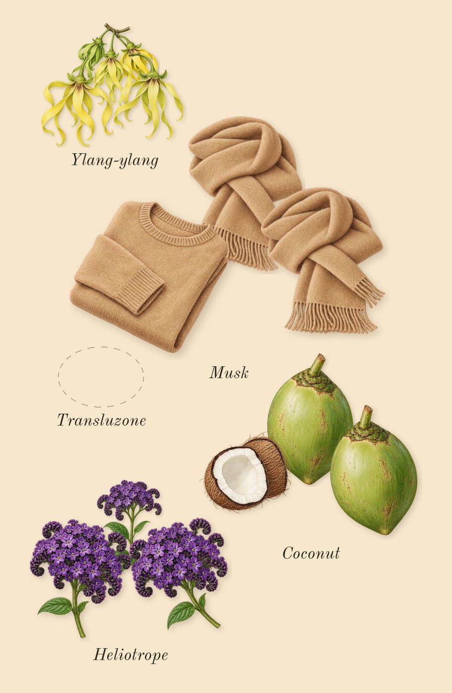 Replica Beach Walk, heart: Ylang-ylang, Transluzone, Heliotrope, Coconut, Musk
