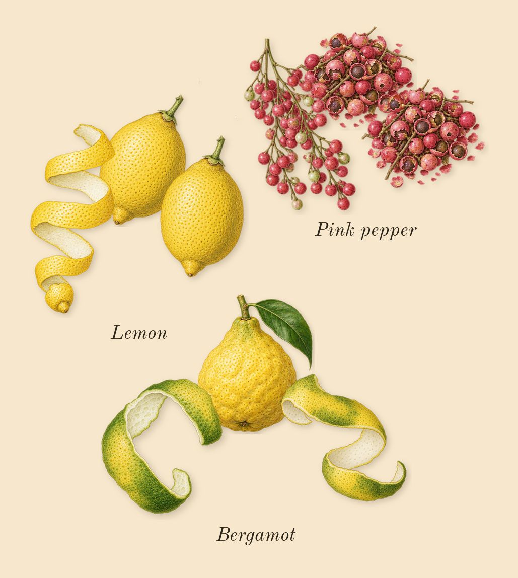 Replica Beach Walk, top notes: Bergamot, Pink pepper, Lemon