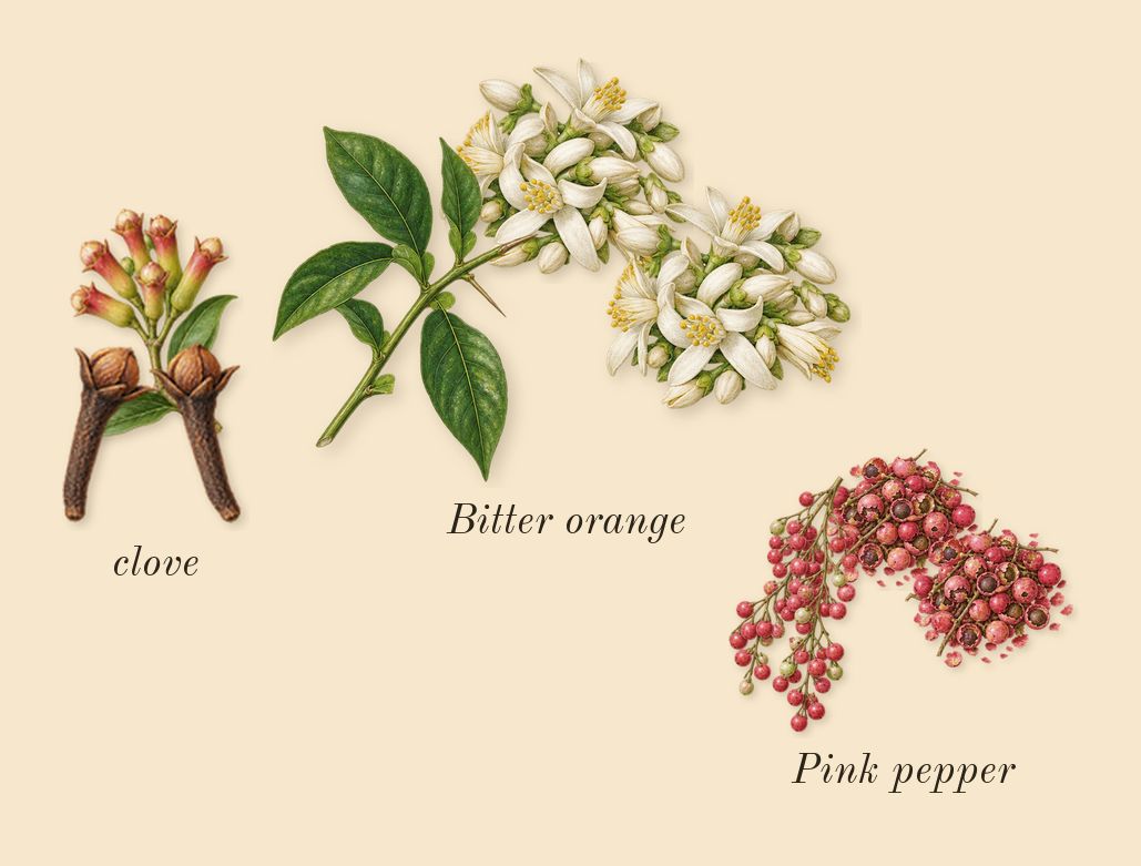 Replica By the Fireplace, top notes: Pink pepper, Bitter orange, clove
