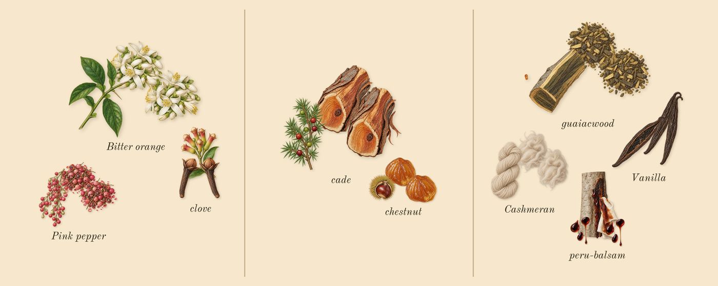 Replica By the Fireplace’s scent picture, a draft: pink pepper, bitter orange, clove, chestnut, cade, vanilla drawn so far; dashed outlines where nothing is drawn yet