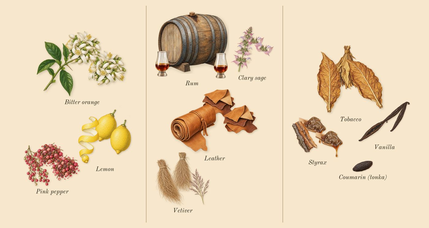 Replica Jazz Club’s scent picture, a draft: pink pepper, lemon, bitter orange, rum, clary sage, vetiver drawn so far; dashed outlines where nothing is drawn yet