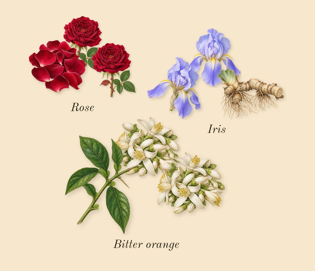 Replica Lazy Sunday Morning, heart: Iris, Rose, Bitter orange