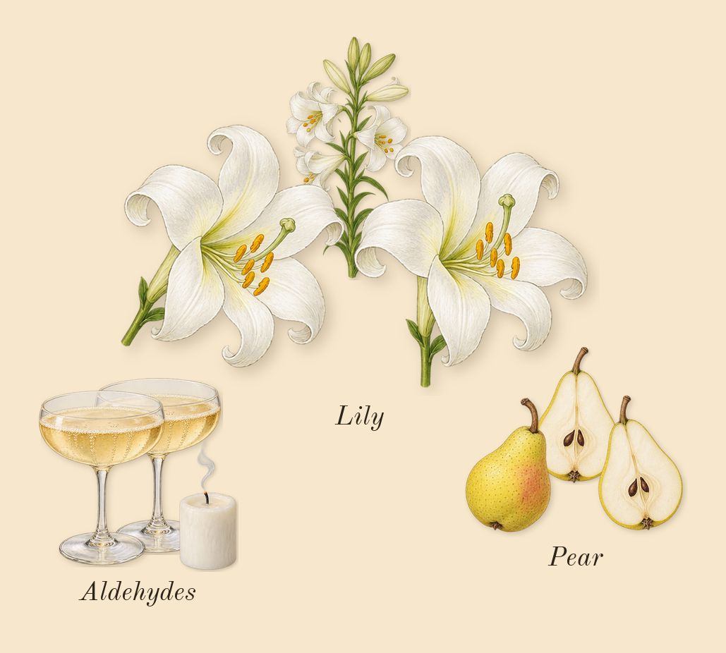 Replica Lazy Sunday Morning, top notes: Pear, Lily, Aldehydes