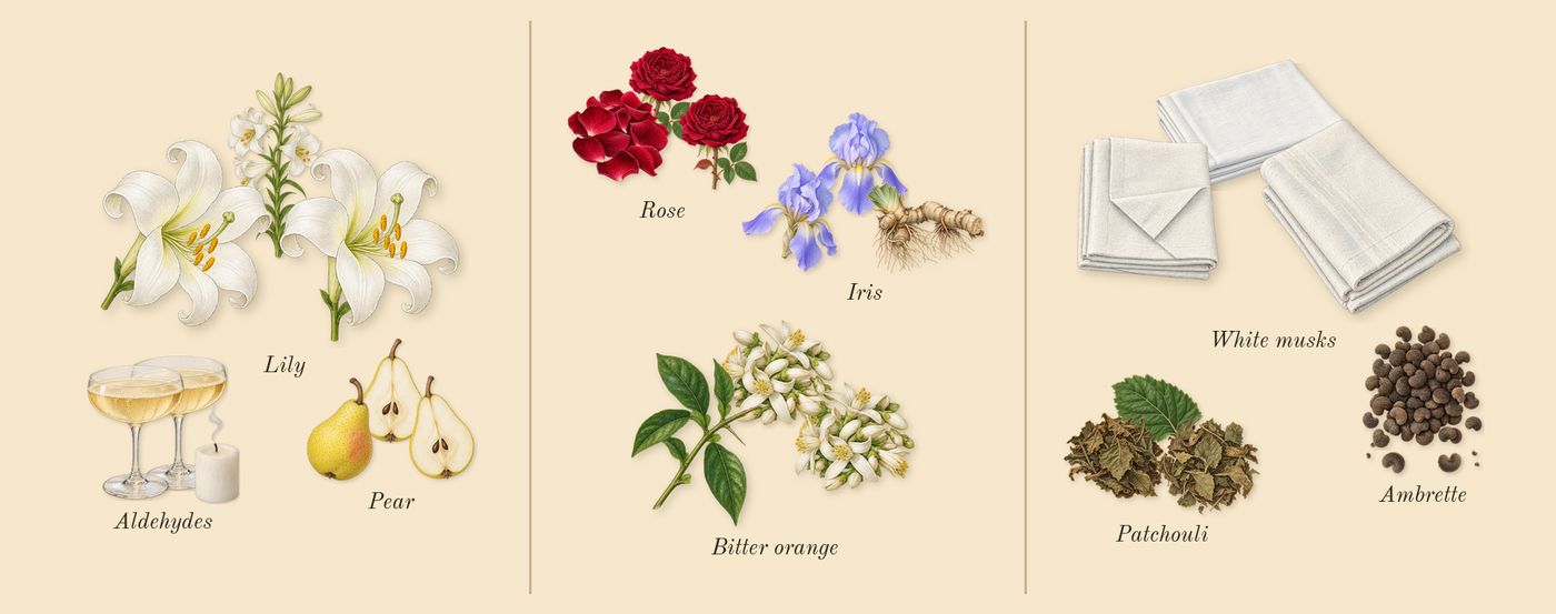 Replica Lazy Sunday Morning’s scent picture, a draft: pear, lily, aldehydes, iris, rose, bitter orange drawn so far; dashed outlines where nothing is drawn yet
