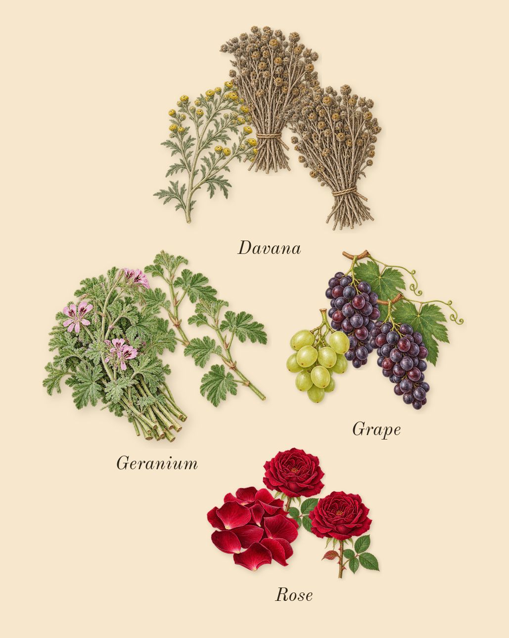 Replica On a Date, heart: Rose, Geranium, Davana, Grape