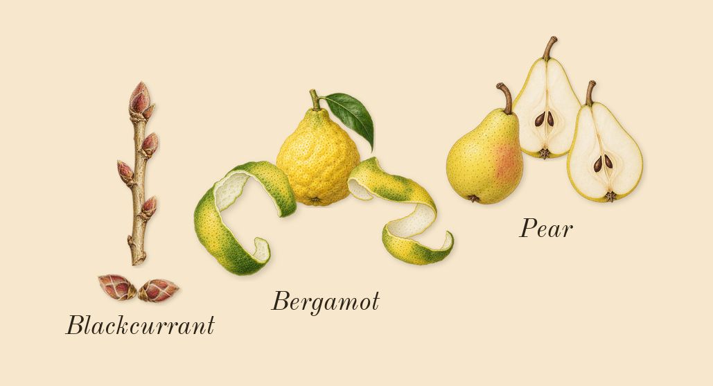 Replica Springtime in a Park, top notes: Pear, Bergamot, Blackcurrant
